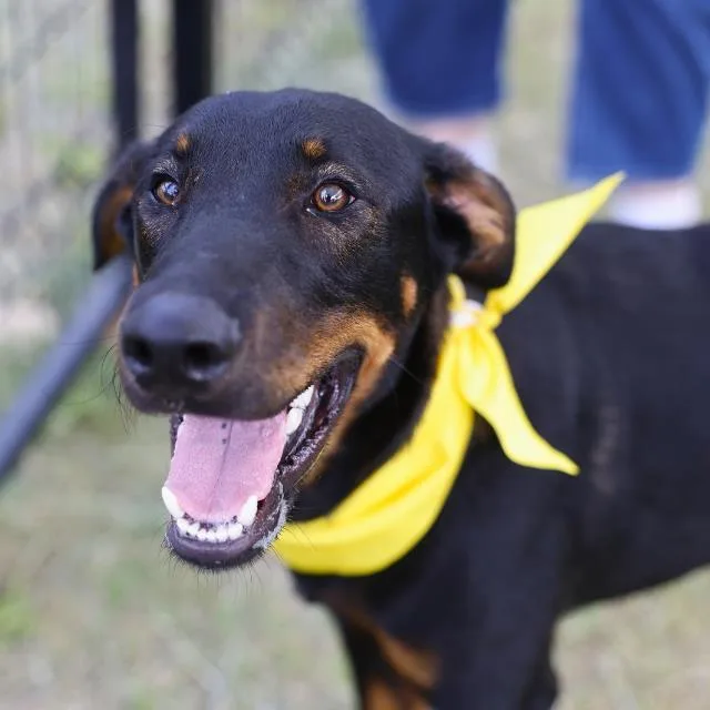 Sergeant Max