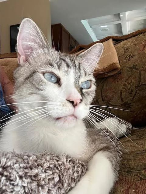 Loki & Leo thumbnail 5