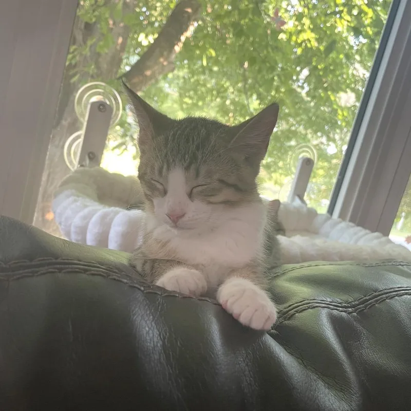 Alan Zig thumbnail 2