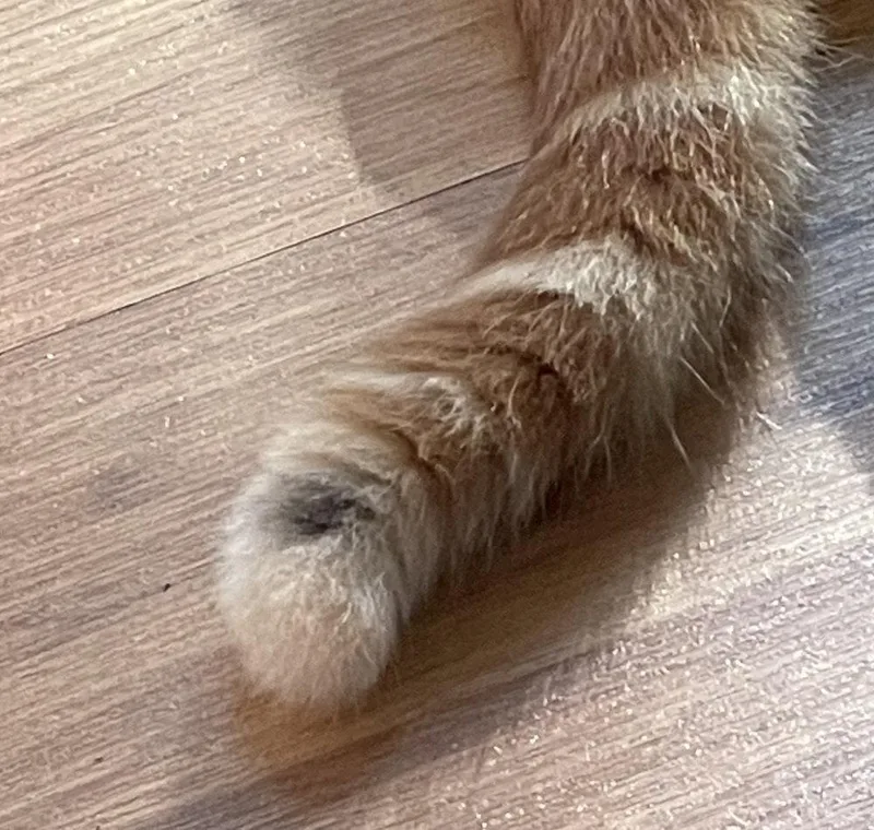 Penny Mae thumbnail 2