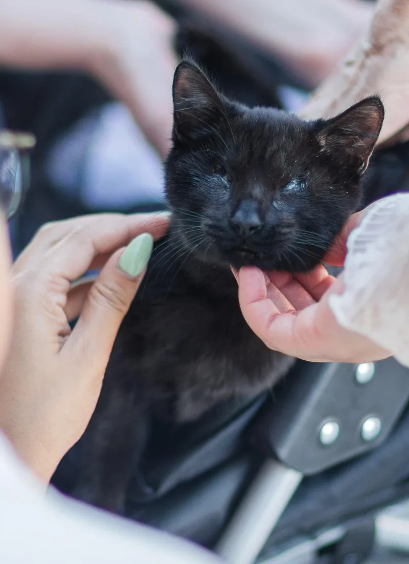 Isaac And Indy thumbnail 2