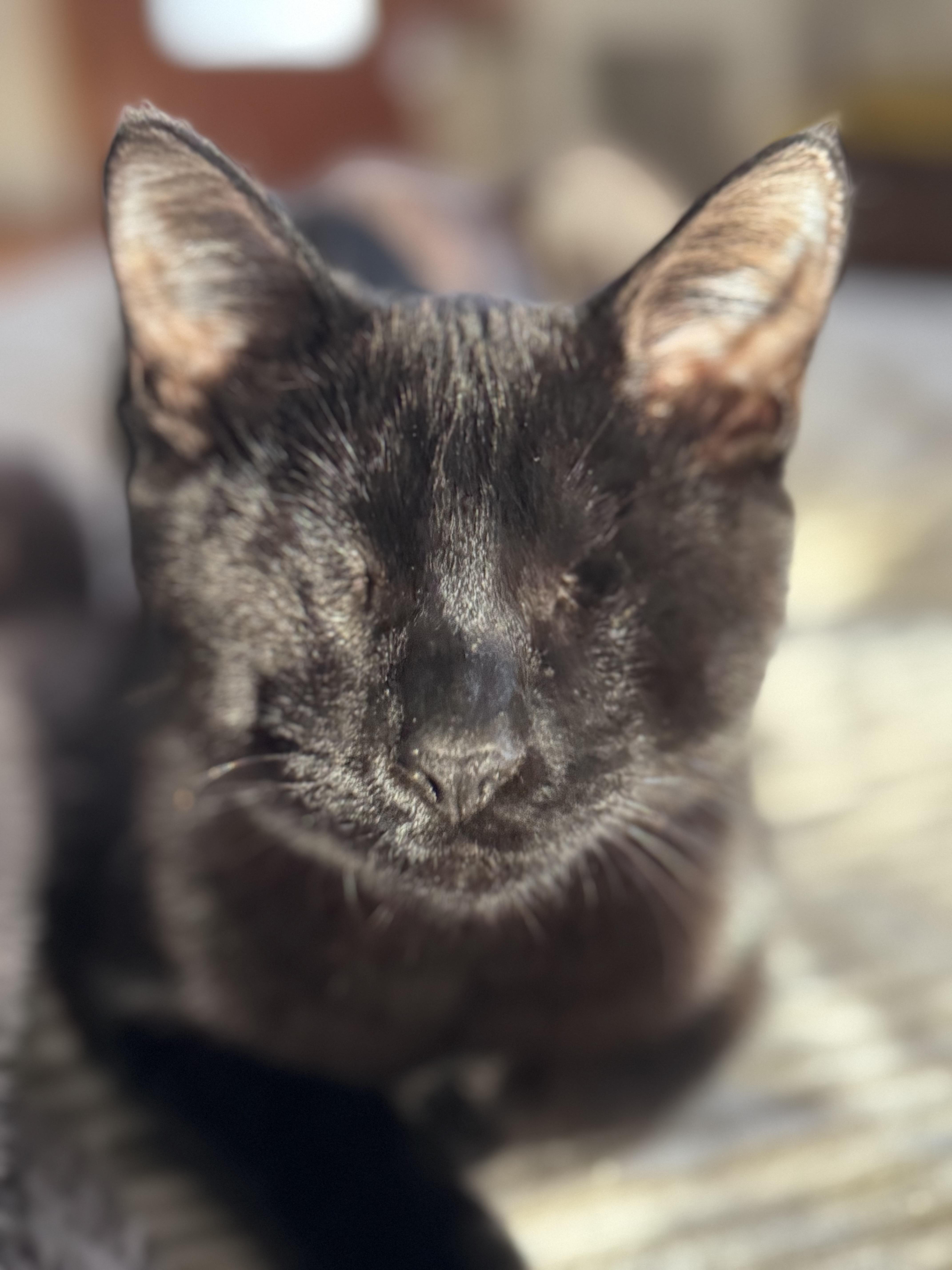 Isaac And Indy thumbnail 5