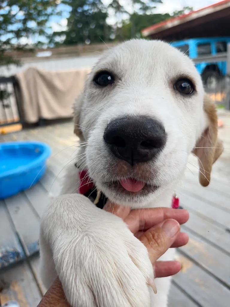 FIFA World Pup thumbnail 4