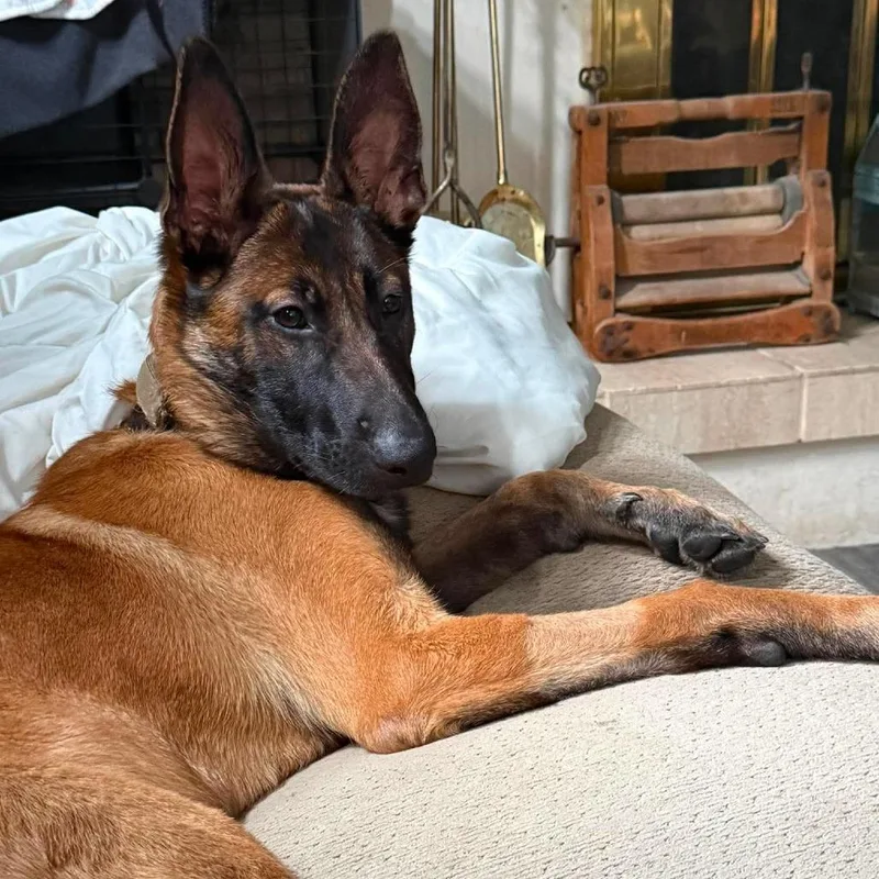 Luna