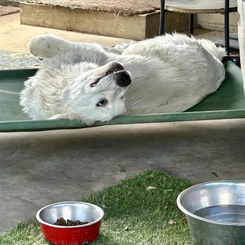 Bartholomew thumbnail 2