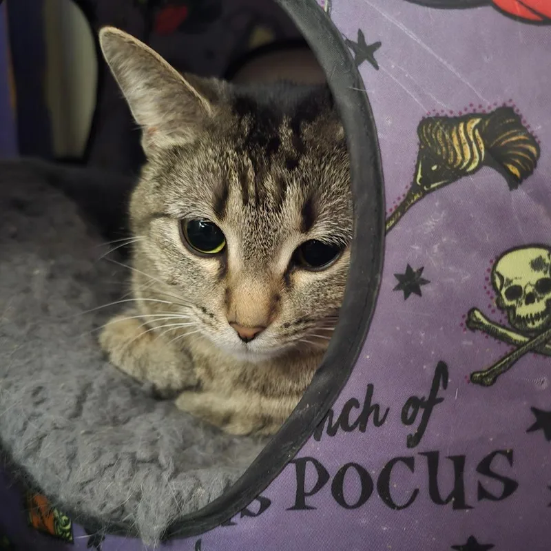 Princess Peach thumbnail 3