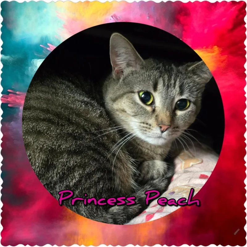 Princess Peach thumbnail 4