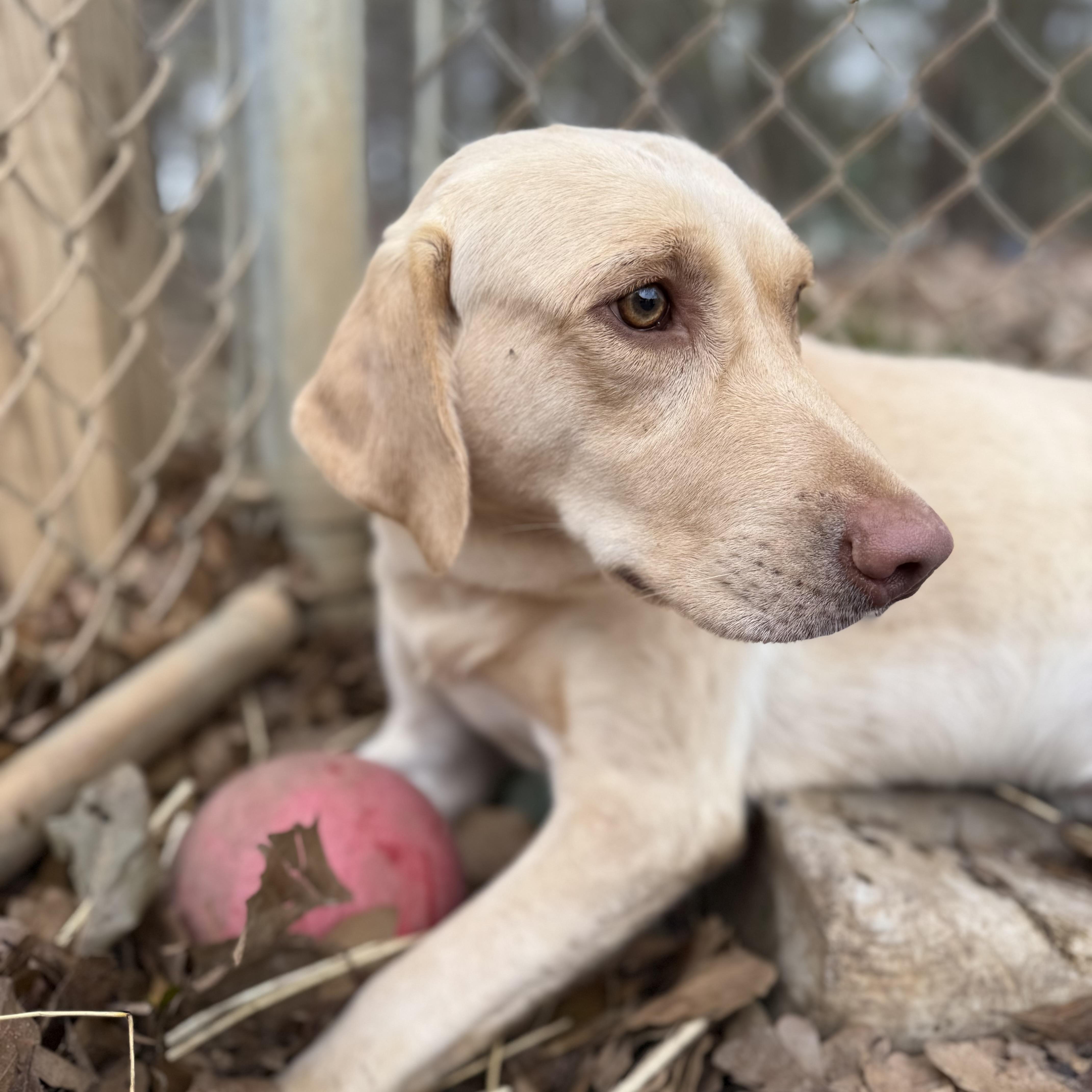 Steve Harvey thumbnail 6