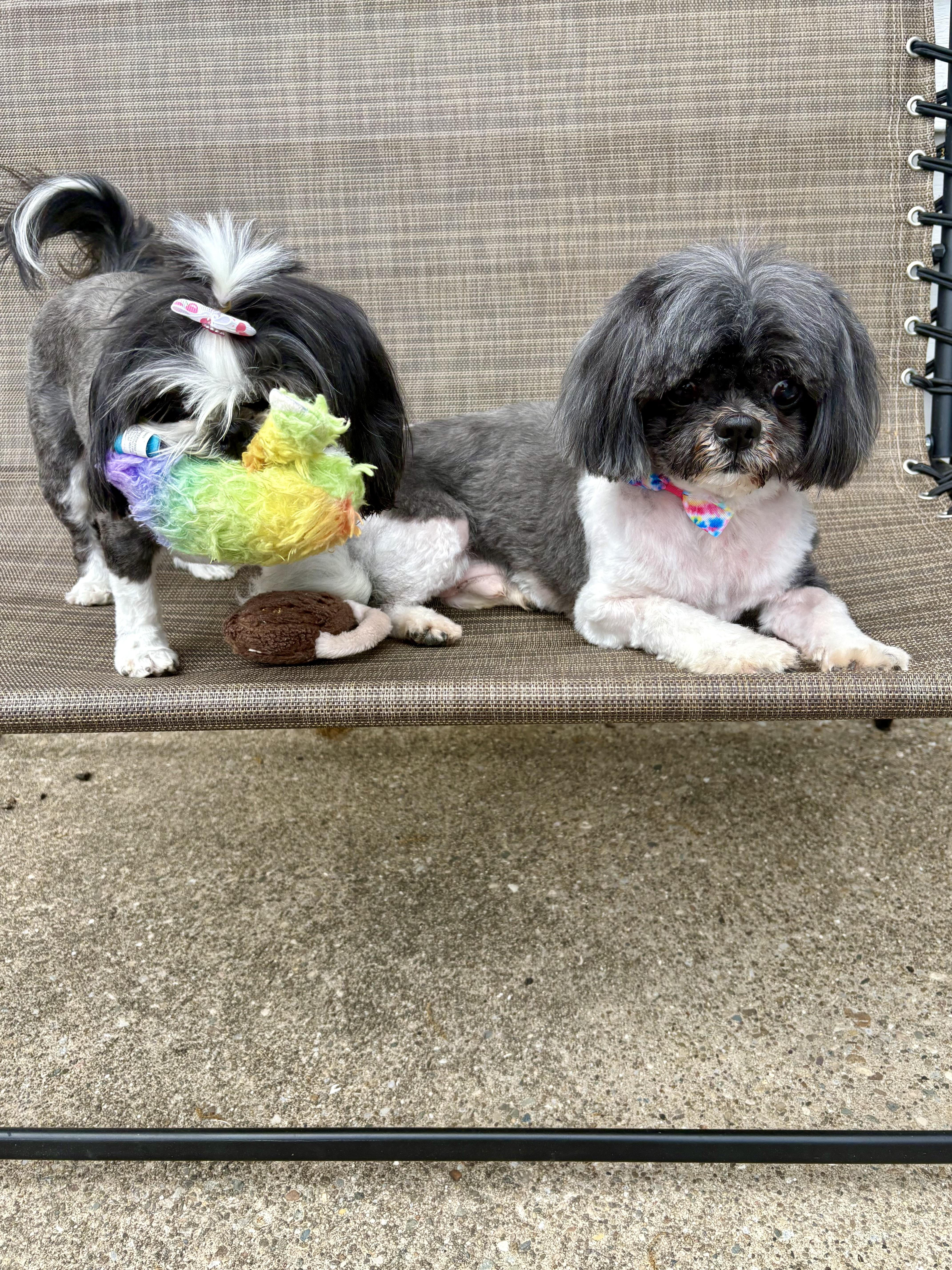 Jaser & Izzy