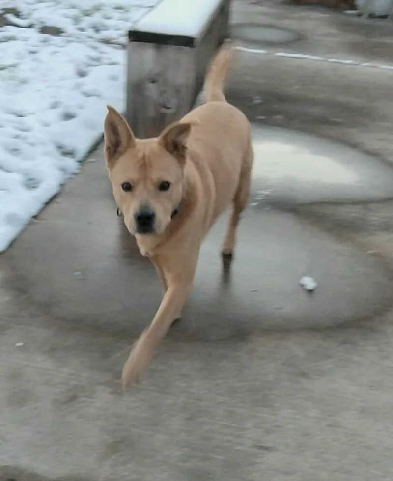 Ponchito thumbnail 3