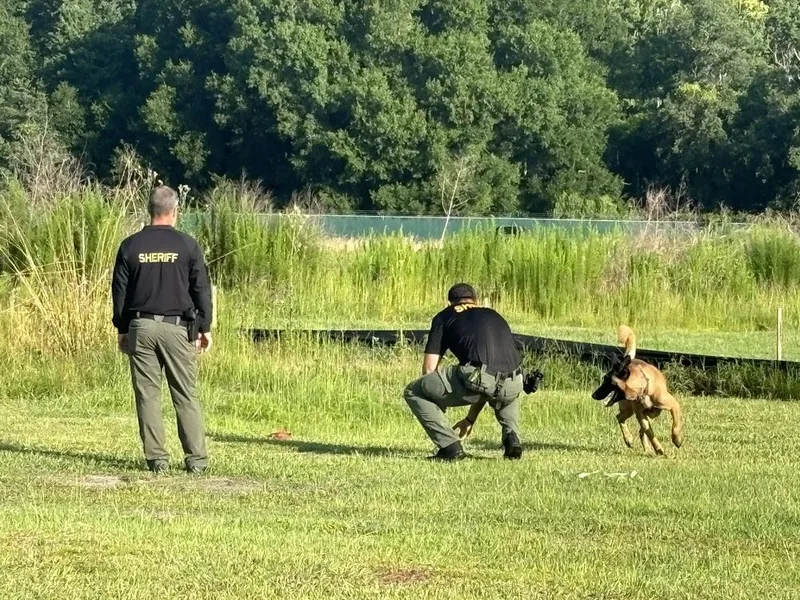 Ryker  Located In thumbnail 4