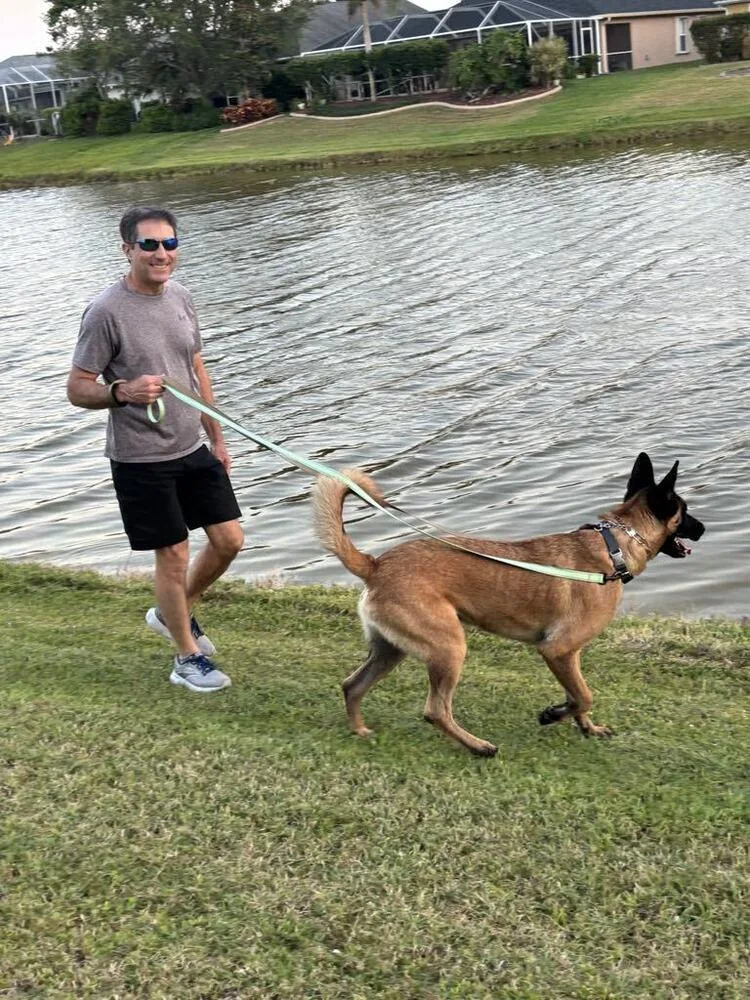 Ryker  Located In thumbnail 5