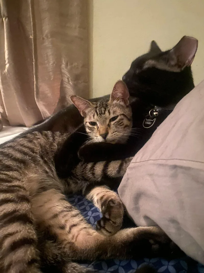Teddy And Luka thumbnail 3
