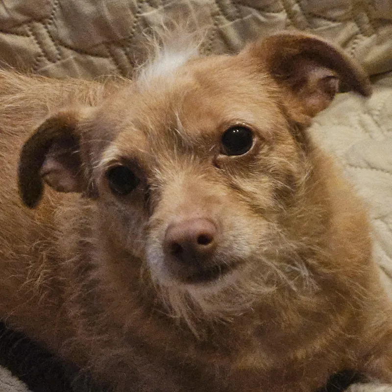 Lulu thumbnail 2