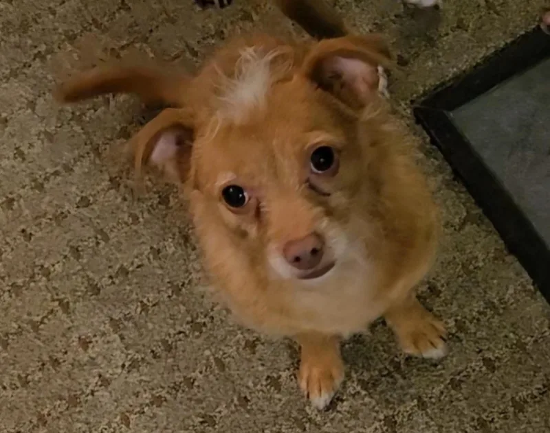 Lulu thumbnail 4