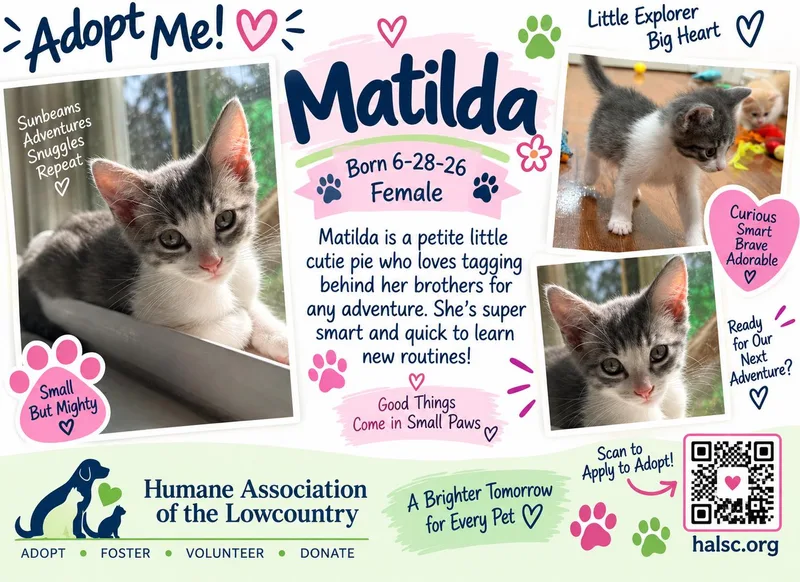 Matilda thumbnail 4