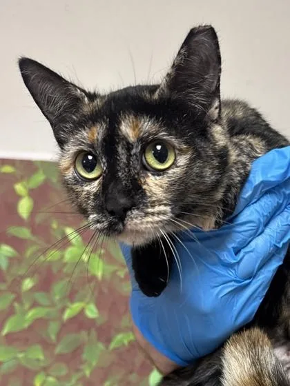 Infinity thumbnail 2