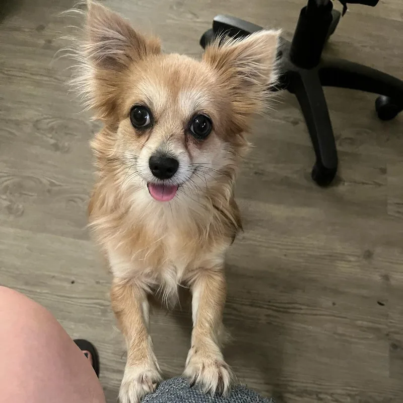 Charlie