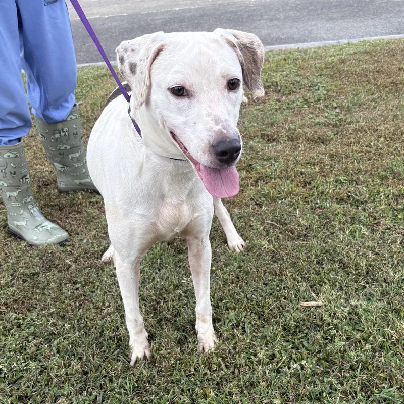 Jean Gray thumbnail 2