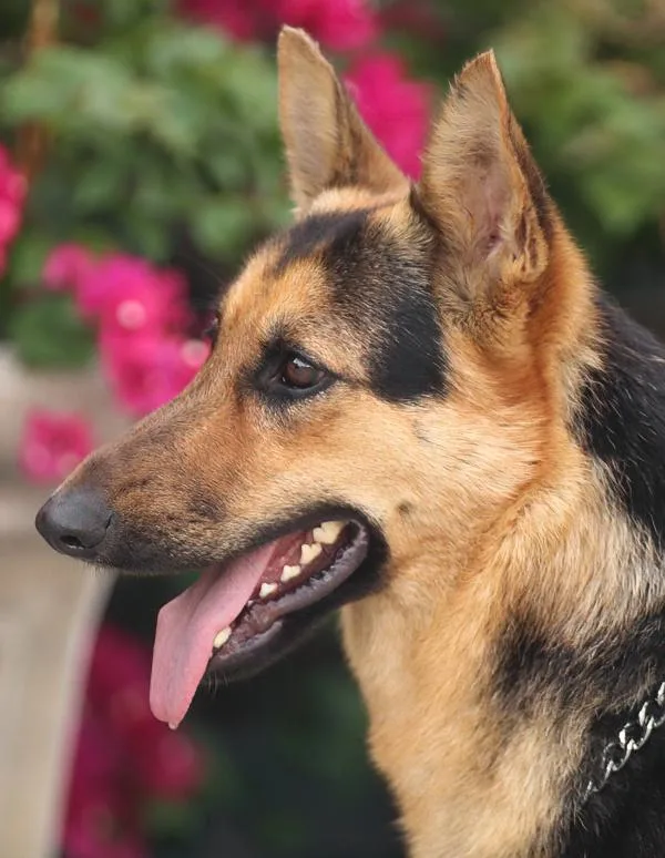 Hazel Von Hage thumbnail 2