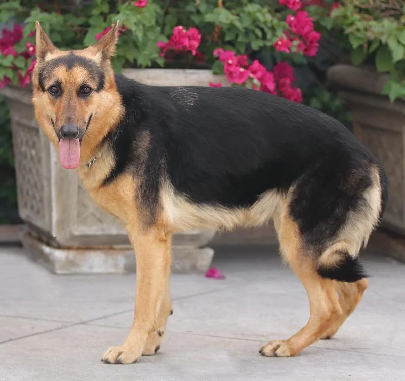 Hazel Von Hage thumbnail 3