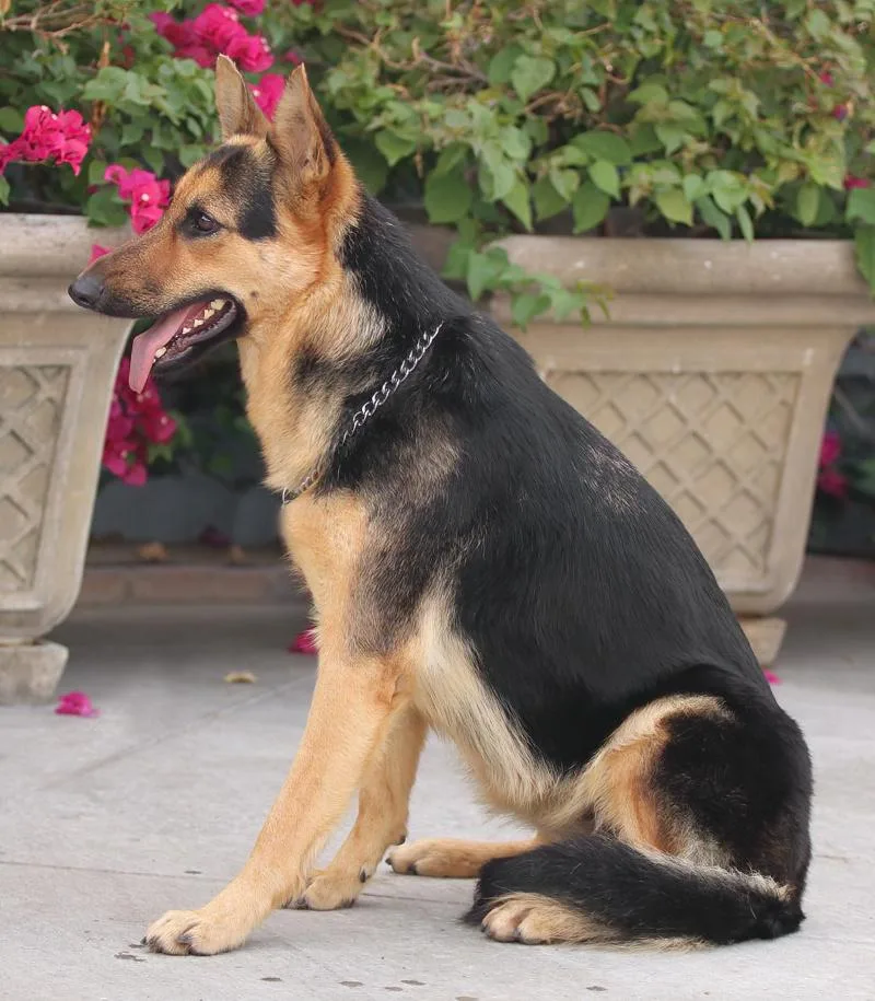 Hazel Von Hage thumbnail 5