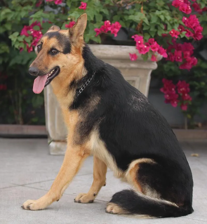 Hazel Von Hage thumbnail 6