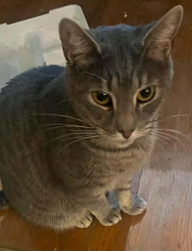 Esme & Julian thumbnail 2