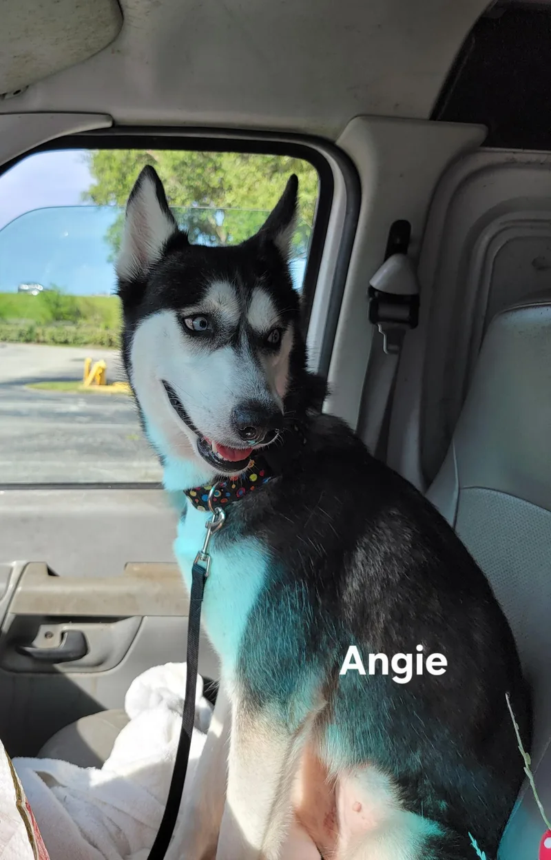 Angie thumbnail 2