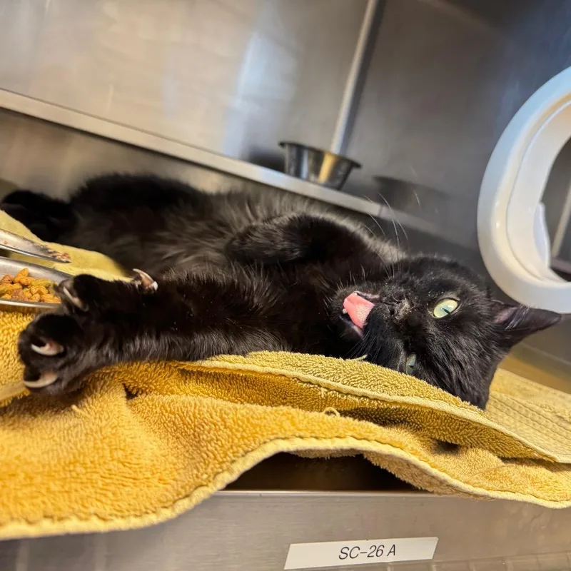 Gus: Visit Me At thumbnail 2