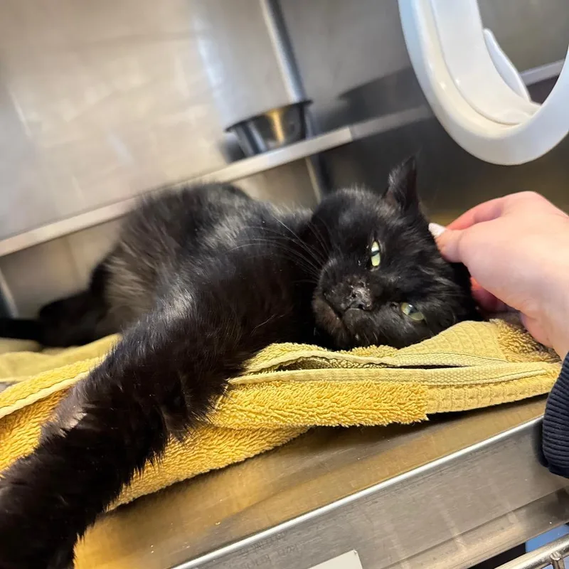 Gus: Visit Me At thumbnail 3