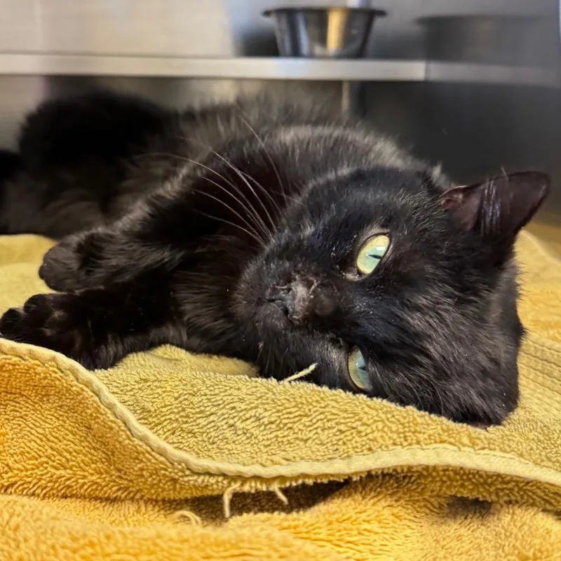 Gus: Visit Me At thumbnail 4