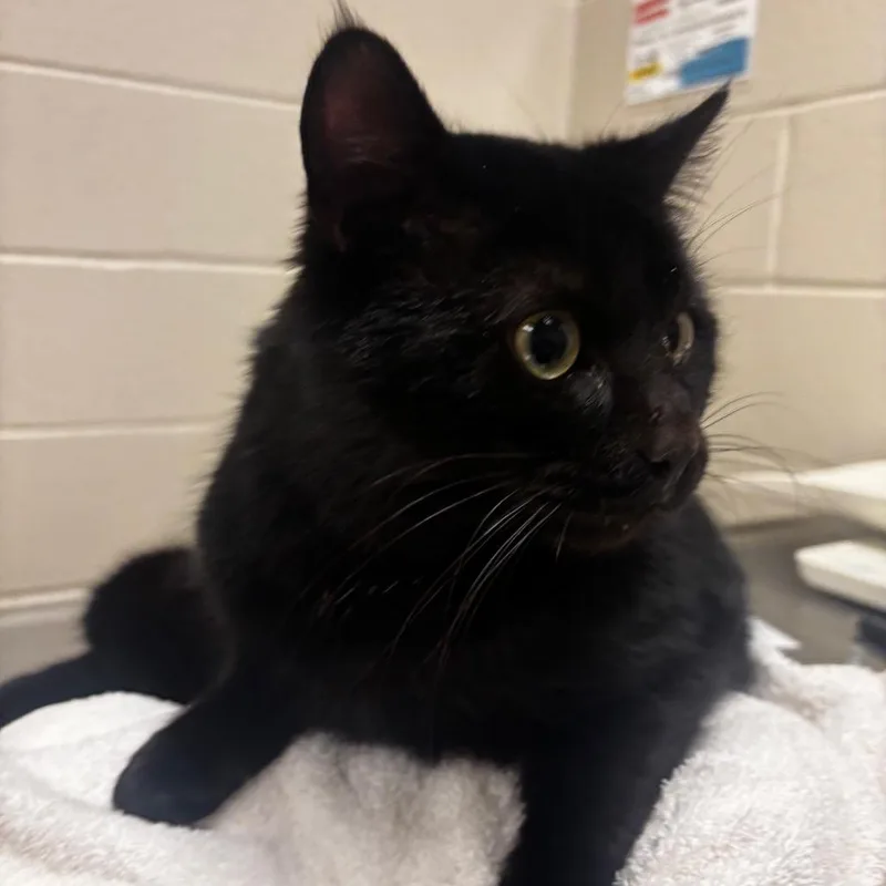 Gus: Visit Me At thumbnail 5