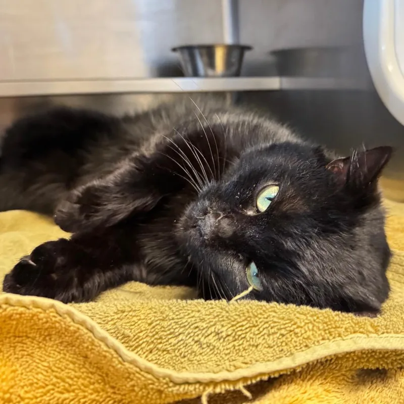 Gus: Visit Me At thumbnail 6