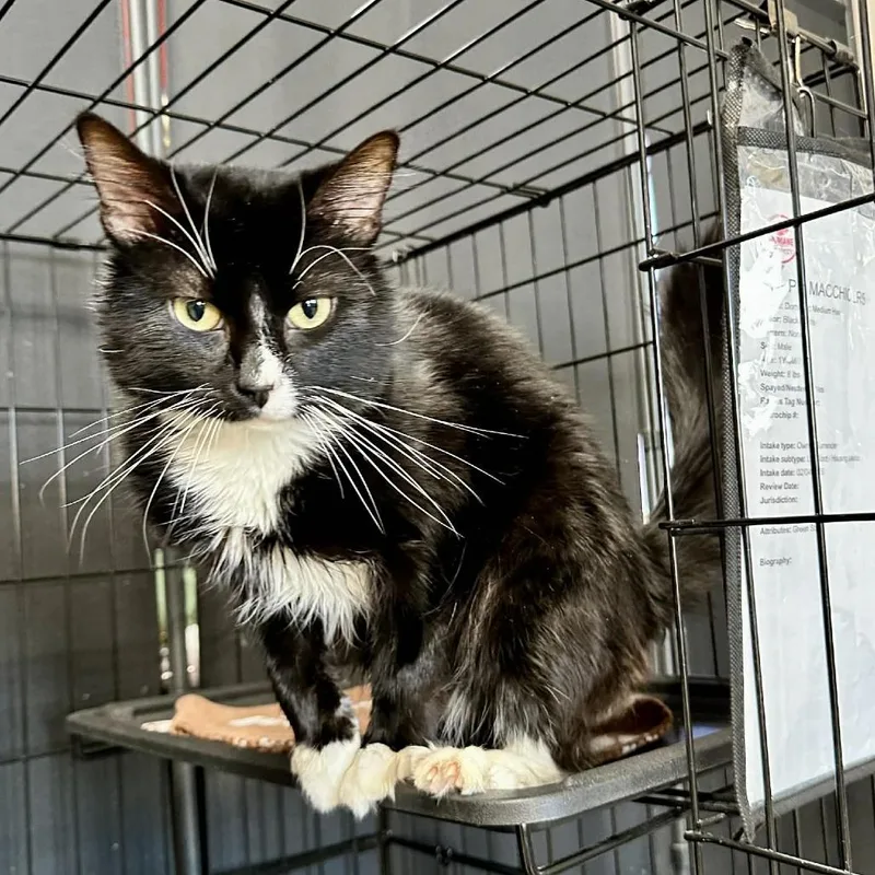 Ralph Macchio Lr thumbnail 2