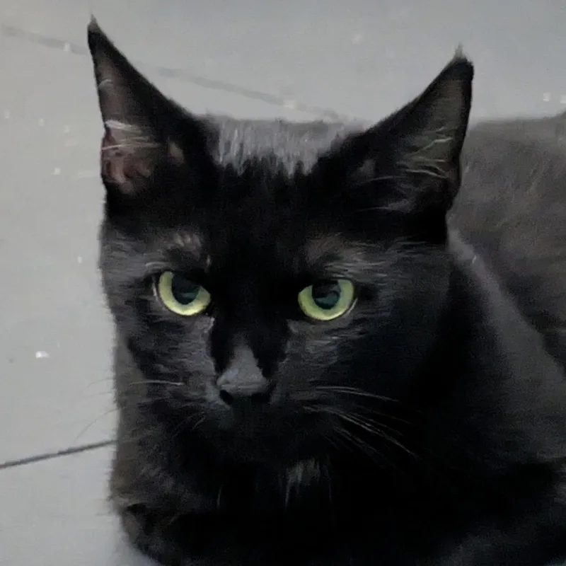 Lucy thumbnail 5