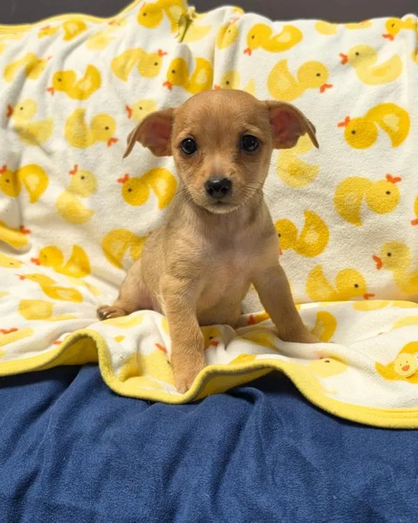 Edna
