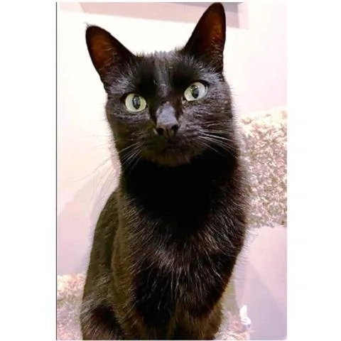 Sabrina