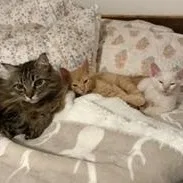 Harry and Winston