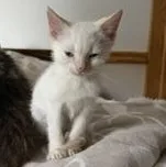 Harry and Winston  thumbnail 5