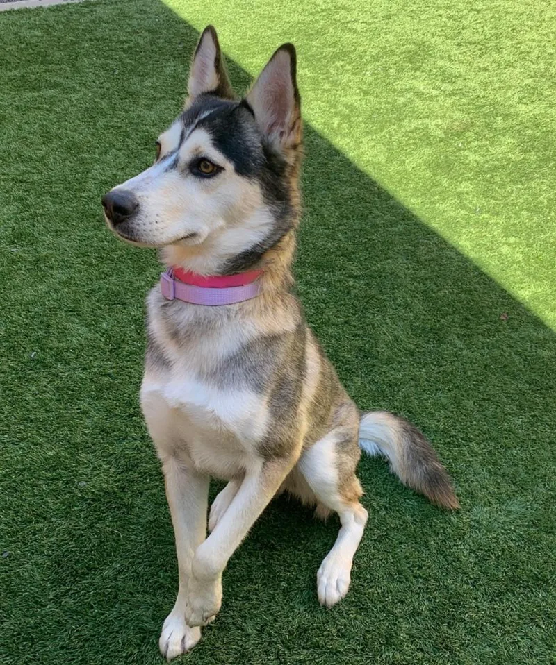 Urgent! Save Me Please! thumbnail 2