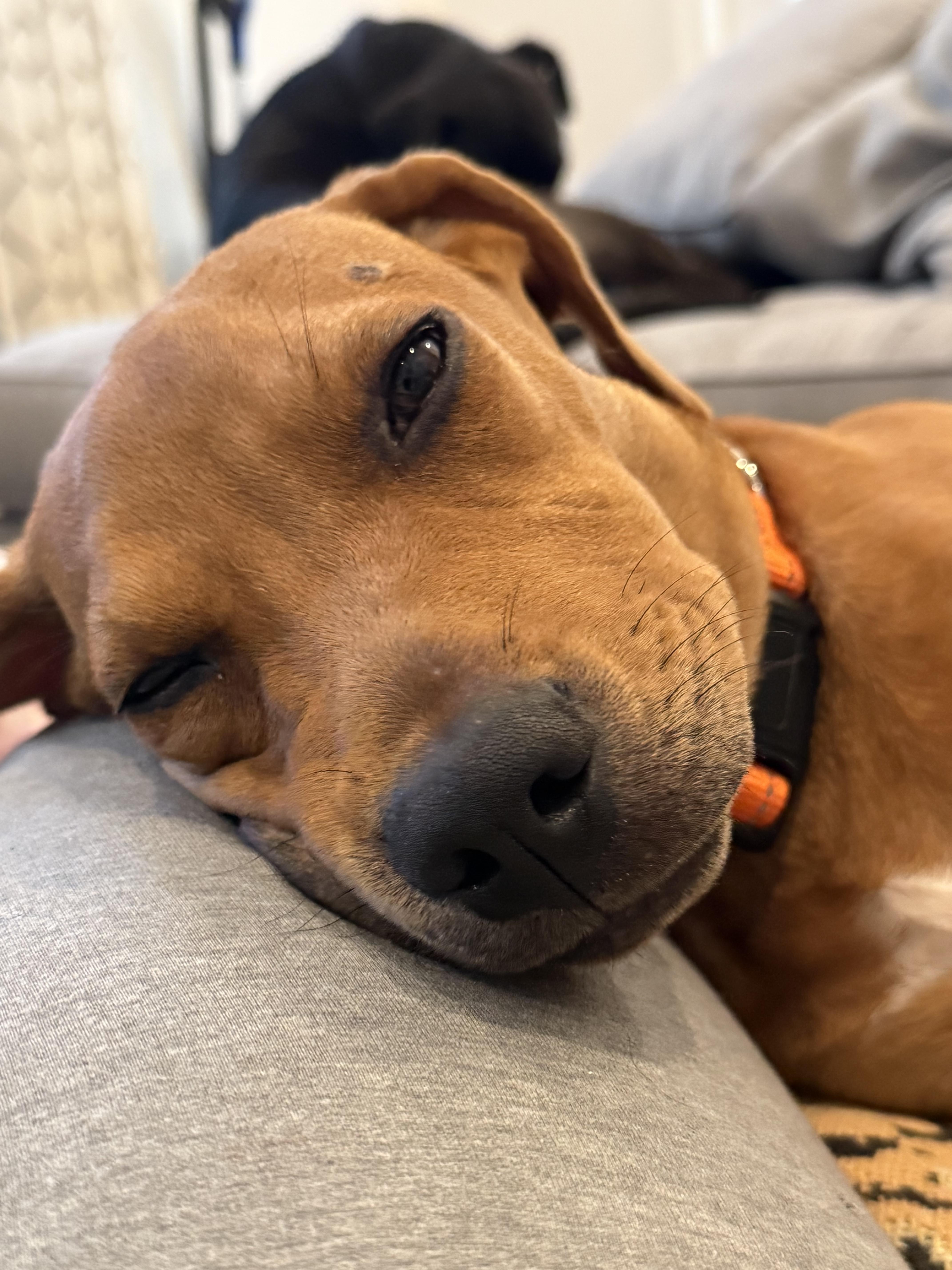 Sunday