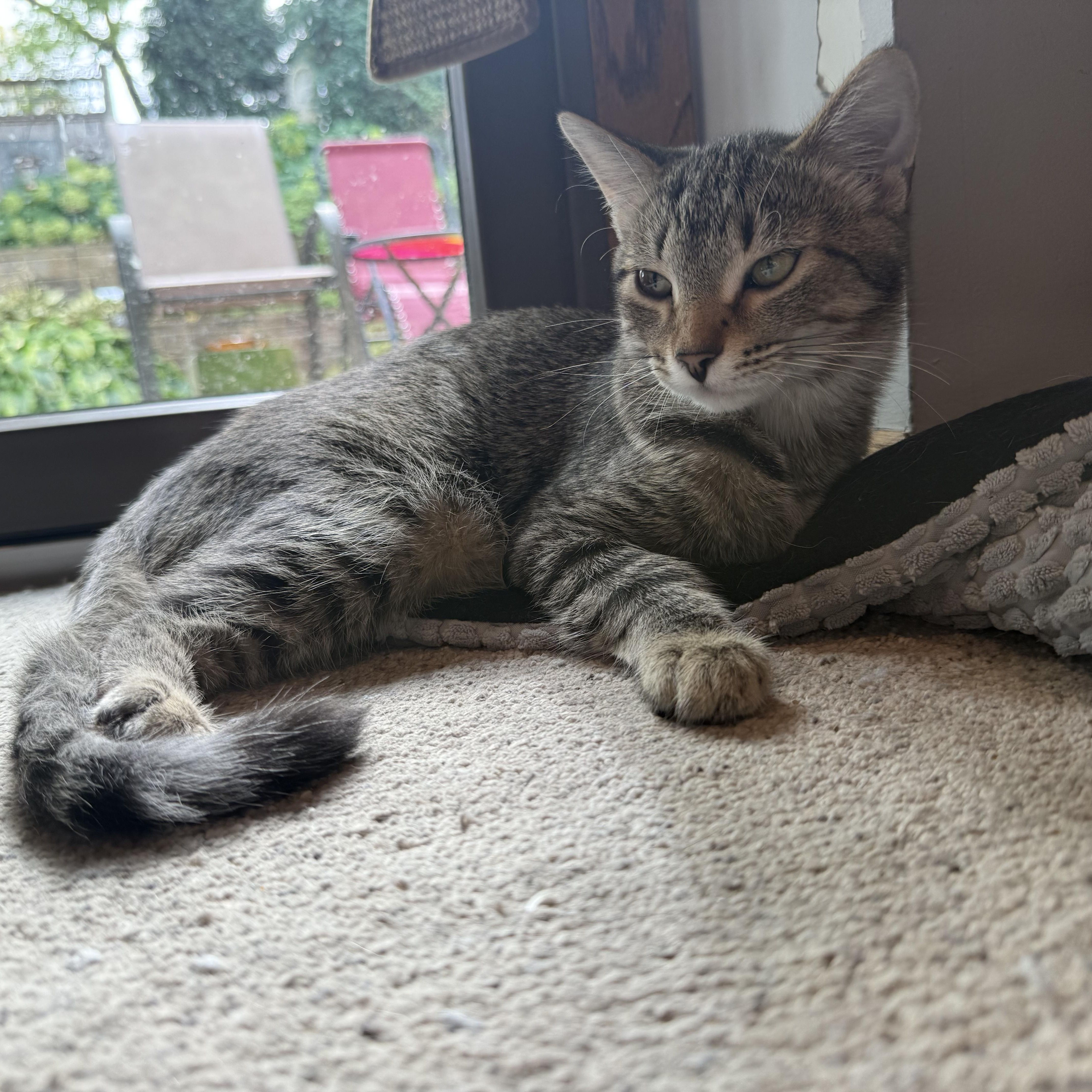 Sansa & Arya thumbnail 2