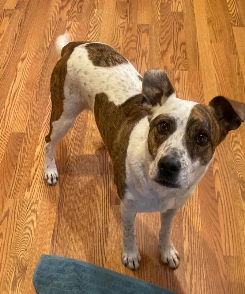 Oakley & Sheriff thumbnail 2