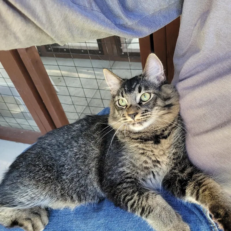 Joey & Jade thumbnail 3