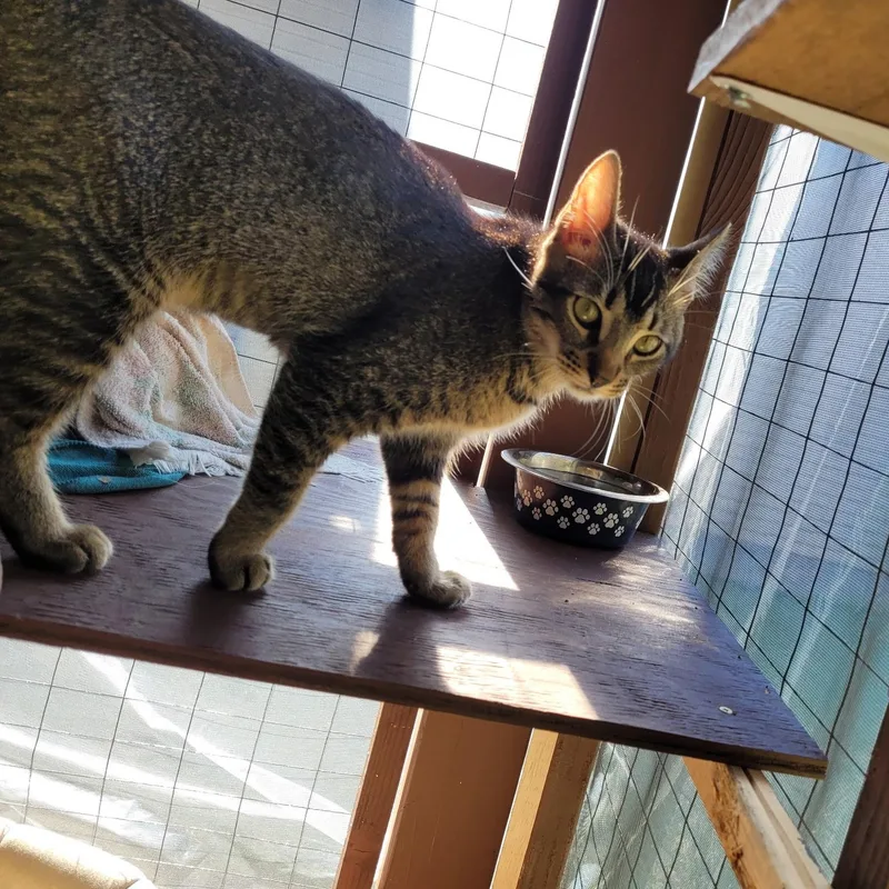 Joey & Jade thumbnail 4