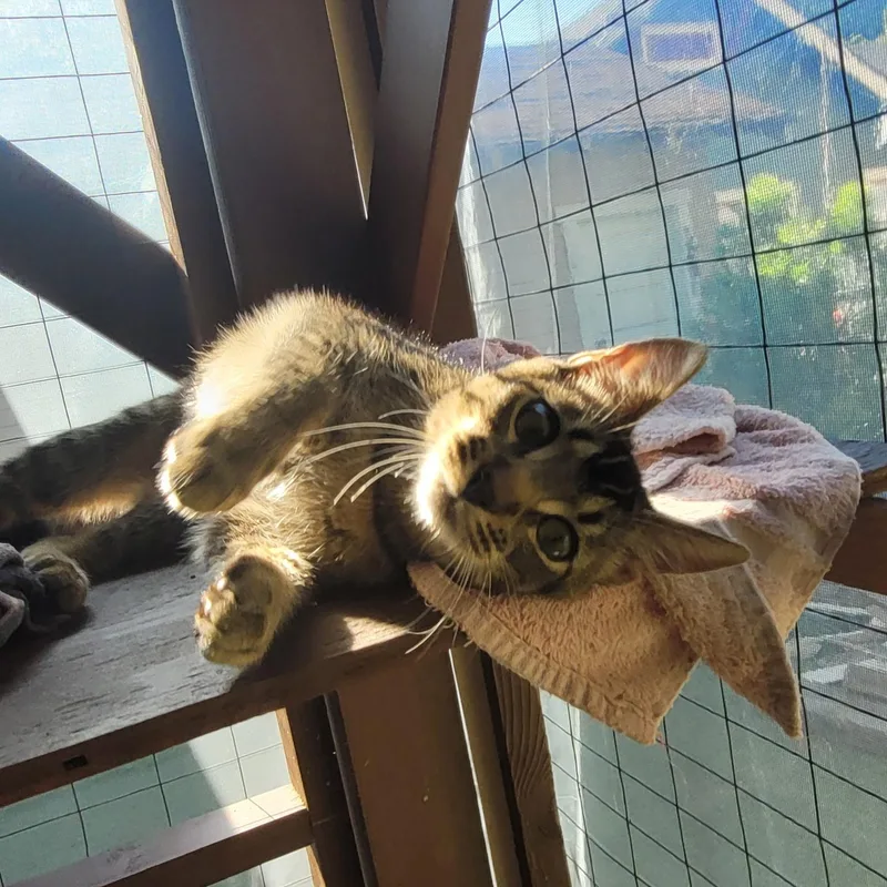 Joey & Jade thumbnail 6