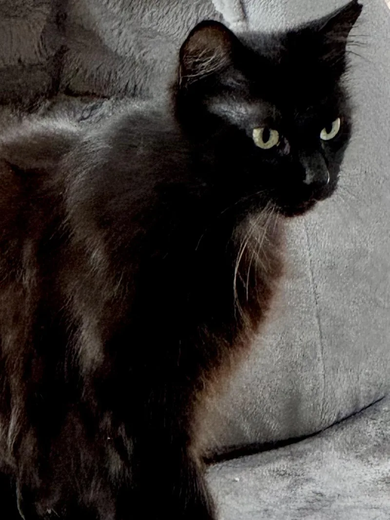 Zoey thumbnail 3