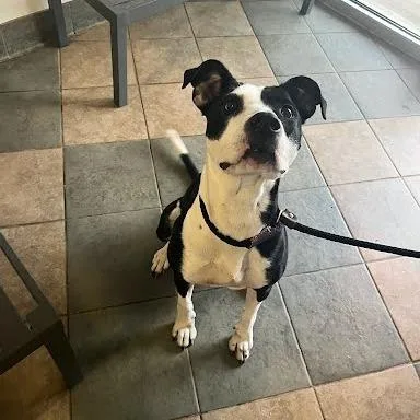 Stefanie thumbnail 2