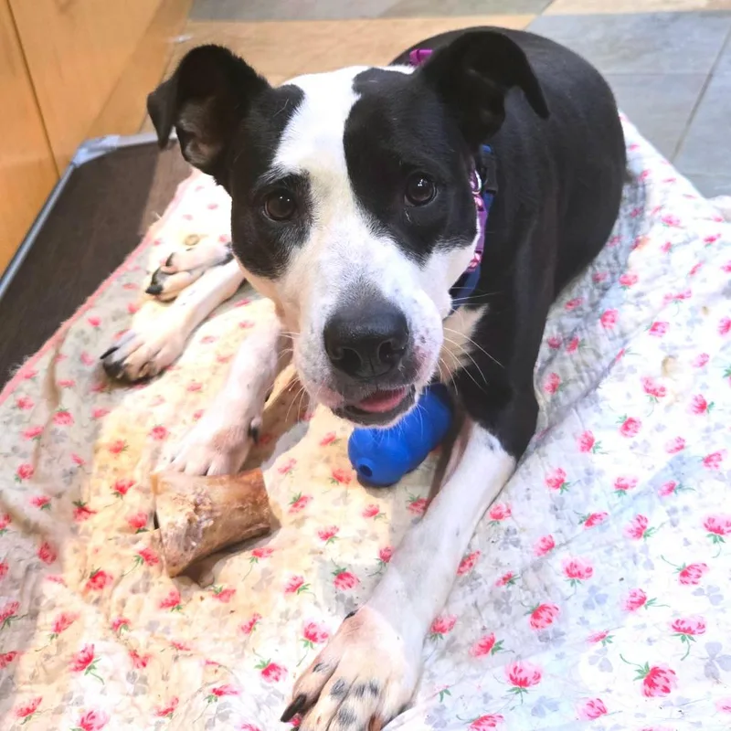 Stefanie thumbnail 3